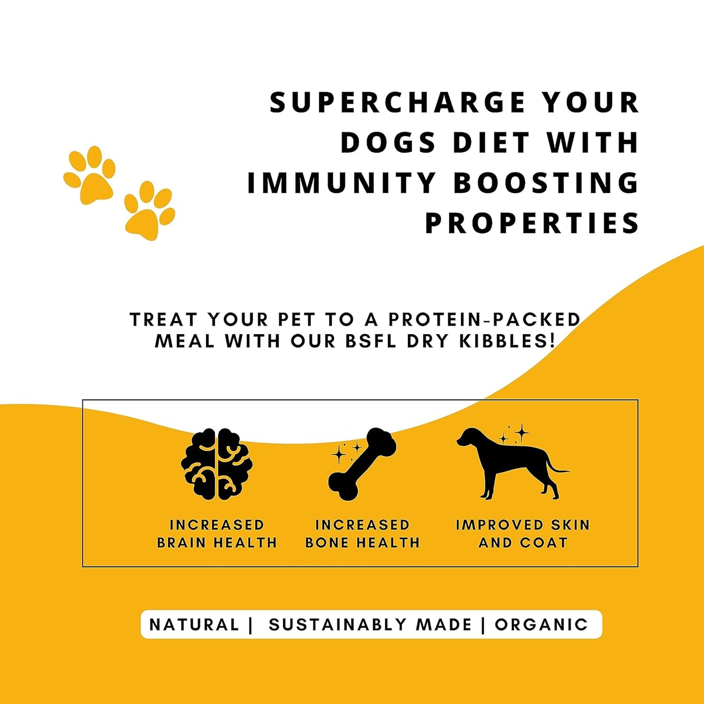 Complete Dog Food | Made for Picky Eaters and Sensitive Stomachs | 3Kg | Chicken & Rice + BSFL