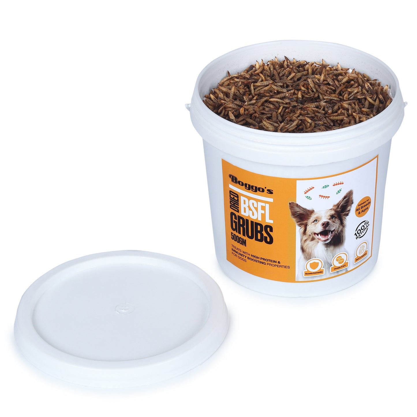 Boggos Dried BSFL Grubs