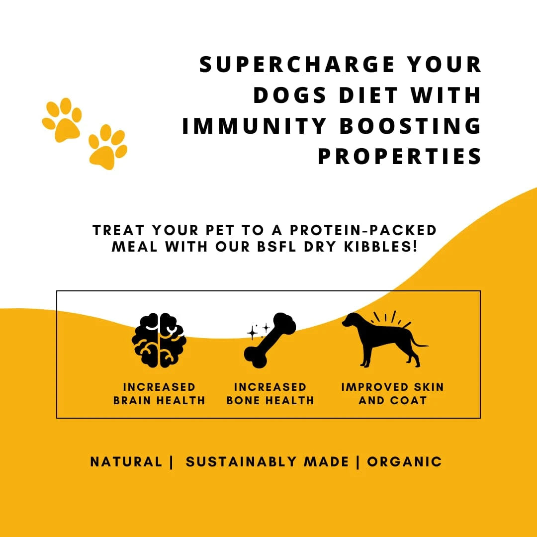 Premium Dog Food for Adult Dogs (1.2 kg) | Powered by Superfoods & BSFL | Complete & Balanced