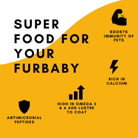 Boggo’s Nutri Topper for Dogs – Chicken Flavour | High Protein, Hypoallergenic Insect Protein Supplement (650g)