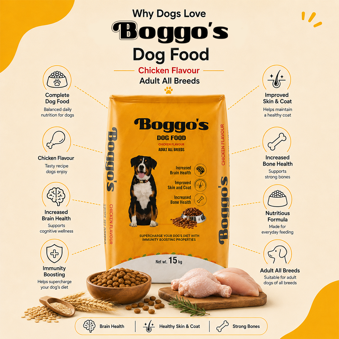 Complete Dog Food | 15kg | Chicken & Rice + BSFL | Delicious Taste, Vet-Formulated Nutrition!