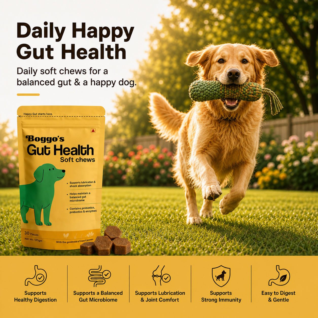 Boggo's Gut Health Soft Chews - 30 Pieces