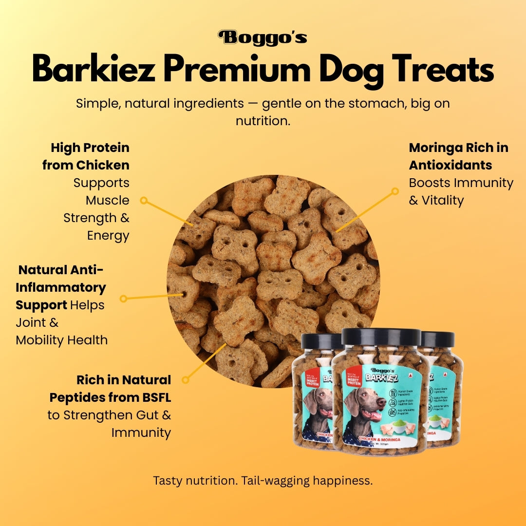 Boggo’s Barkiez Chicken & Moringa Insect Protein Dog Treats (320g)