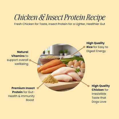 Boggo’s Complete Dog Food | 3Kg | Chicken & Rice + BSFL | Delicious Taste, Vet-Formulated Nutrition!