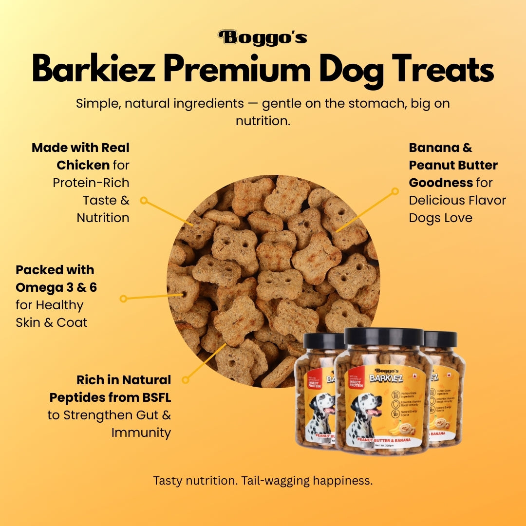 Boggo’s Barkiez Peanut Butter & Banana Insect Protein Dog Treats (320g)