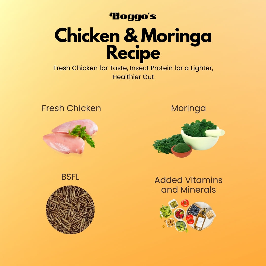 Boggo’s Barkiez Chicken & Moringa Insect Protein Dog Treats (320g)