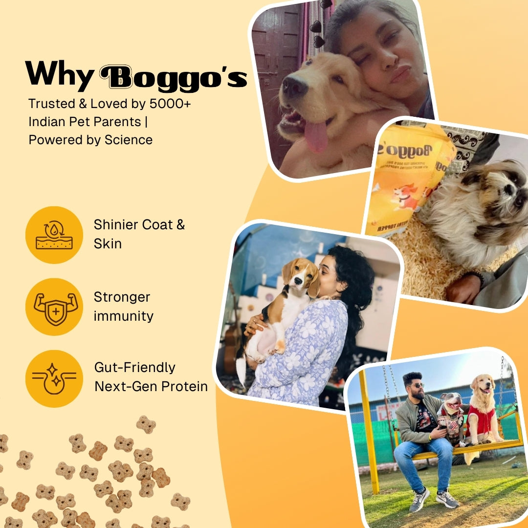 Boggo’s Barkiez Chicken Liver Brown Rice & Carrot Insect Protein Dog Treats (320g)