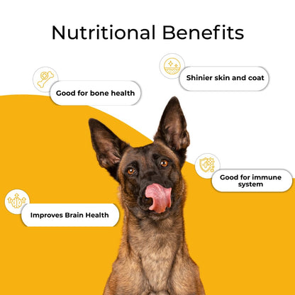 Boggo’s Complete Dog Food | 3Kg | Chicken & Rice + BSFL | Delicious Taste, Vet-Formulated Nutrition!