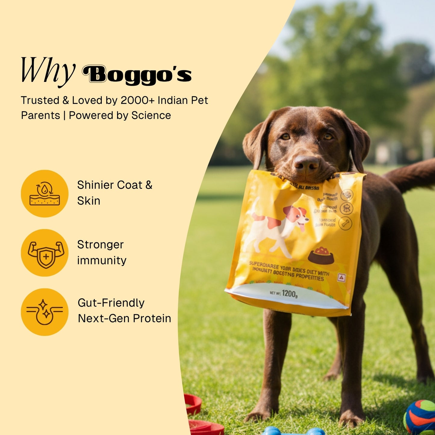 Premium Dog Food for Adult Dogs (1.2 kg) | Powered by Superfoods & BSFL | Complete & Balanced