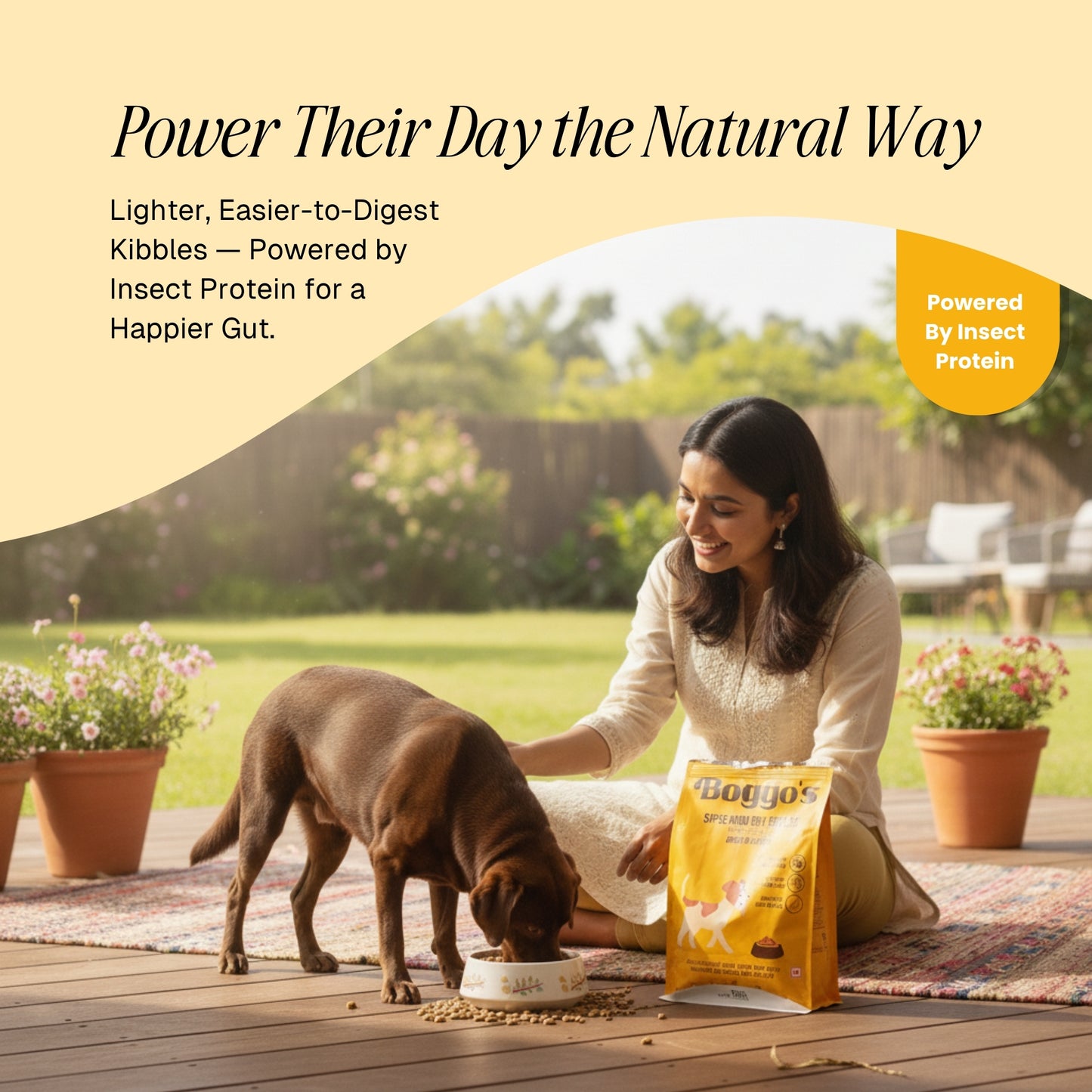 Trial Pack – 100g Sample | Chicken + BSFL | Delicious Taste, Vet-Formulated Nutrition!