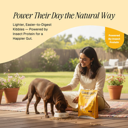 Trial Pack – 100g Sample | Chicken + BSFL | Delicious Taste, Vet-Formulated Nutrition!