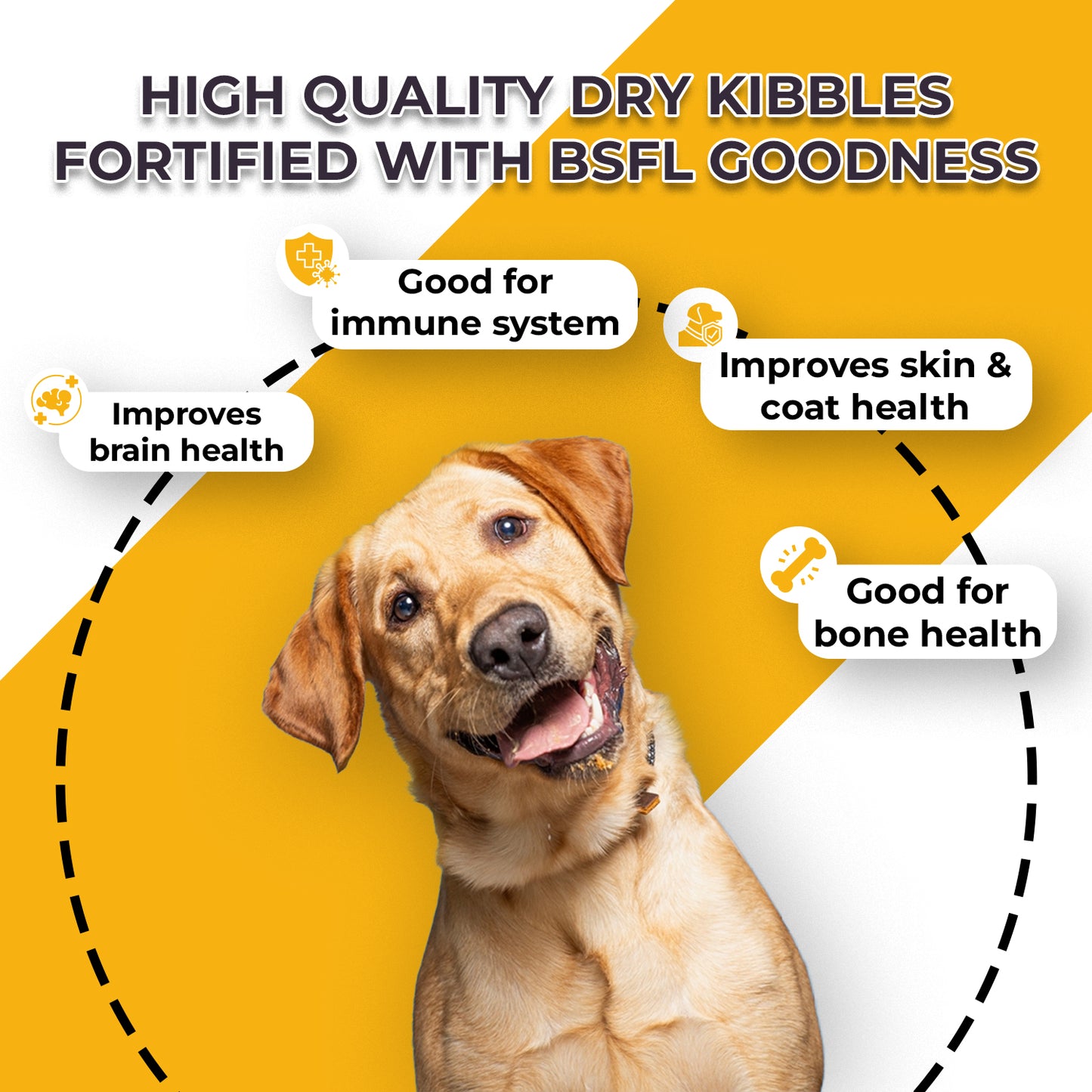 Boggos Premium Dry Dog Food For Adult Dogs | 15kg | Complete and Balanced Diet | Fortified with BSFL