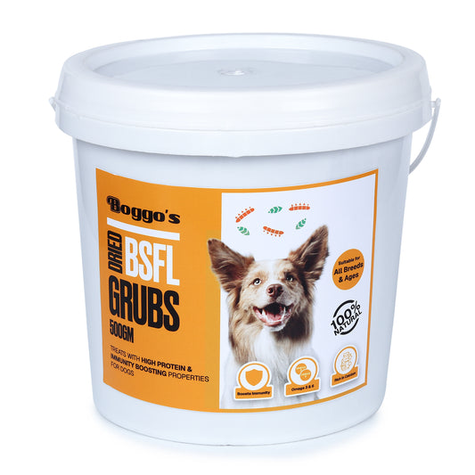 Boggos Dried BSFL Grubs