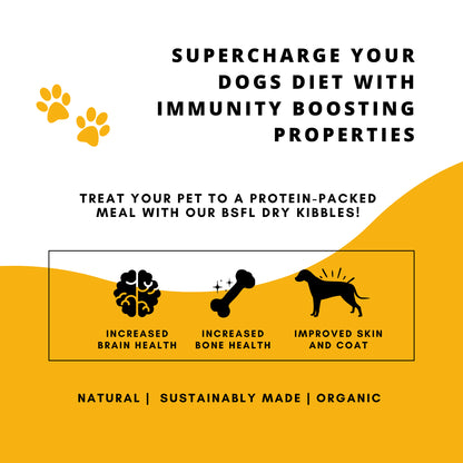 Boggos Premium Dog Food for Adult Dogs (1.2 kg) | Powered by Superfoods & BSFL | Complete, Balanced, Vet-Trusted Nutrition
