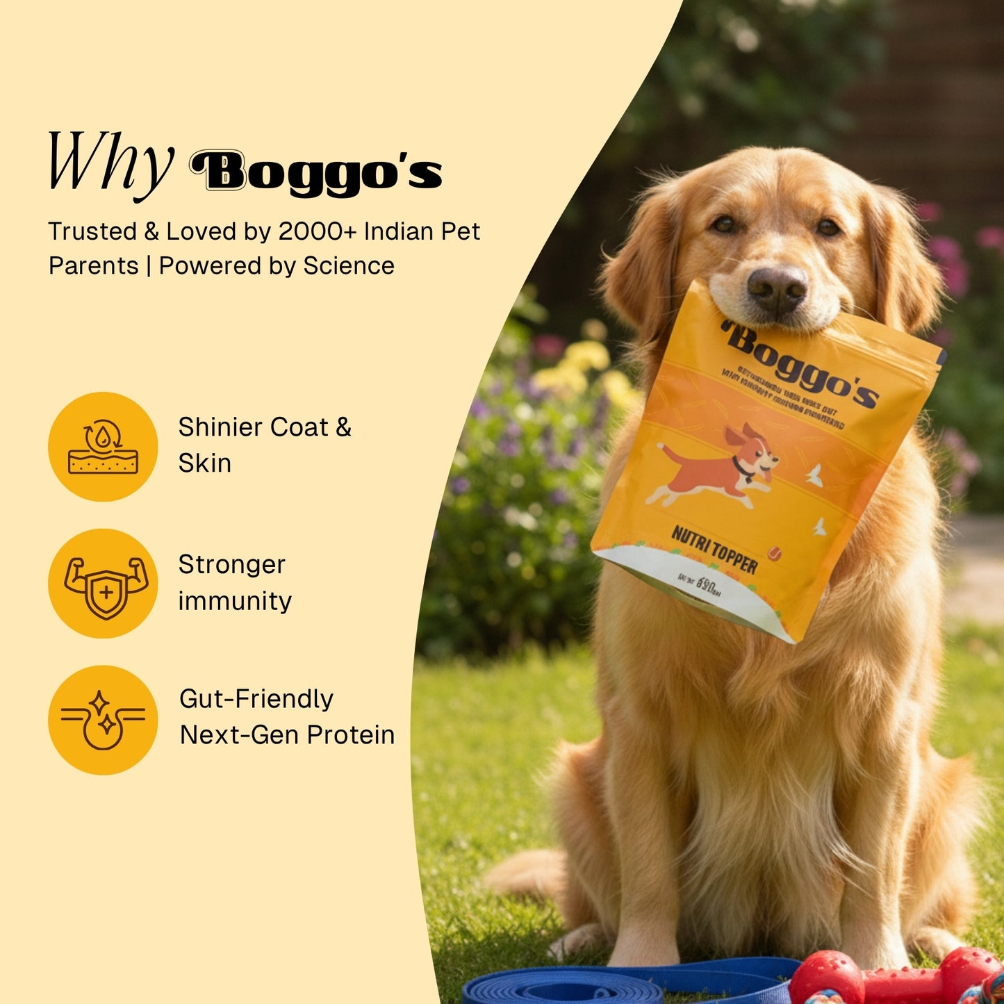 Nutri Topper For Dog, Chicken Flavour | Insect Protein Supplement, 650 Grams