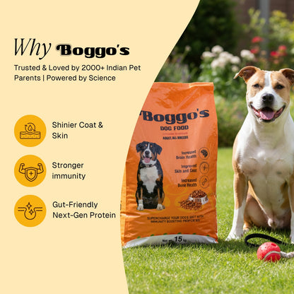 Premium Dry Dog Food For Adult Dogs | 15kg | Complete and Balanced Diet | Fortified with Insect Protein