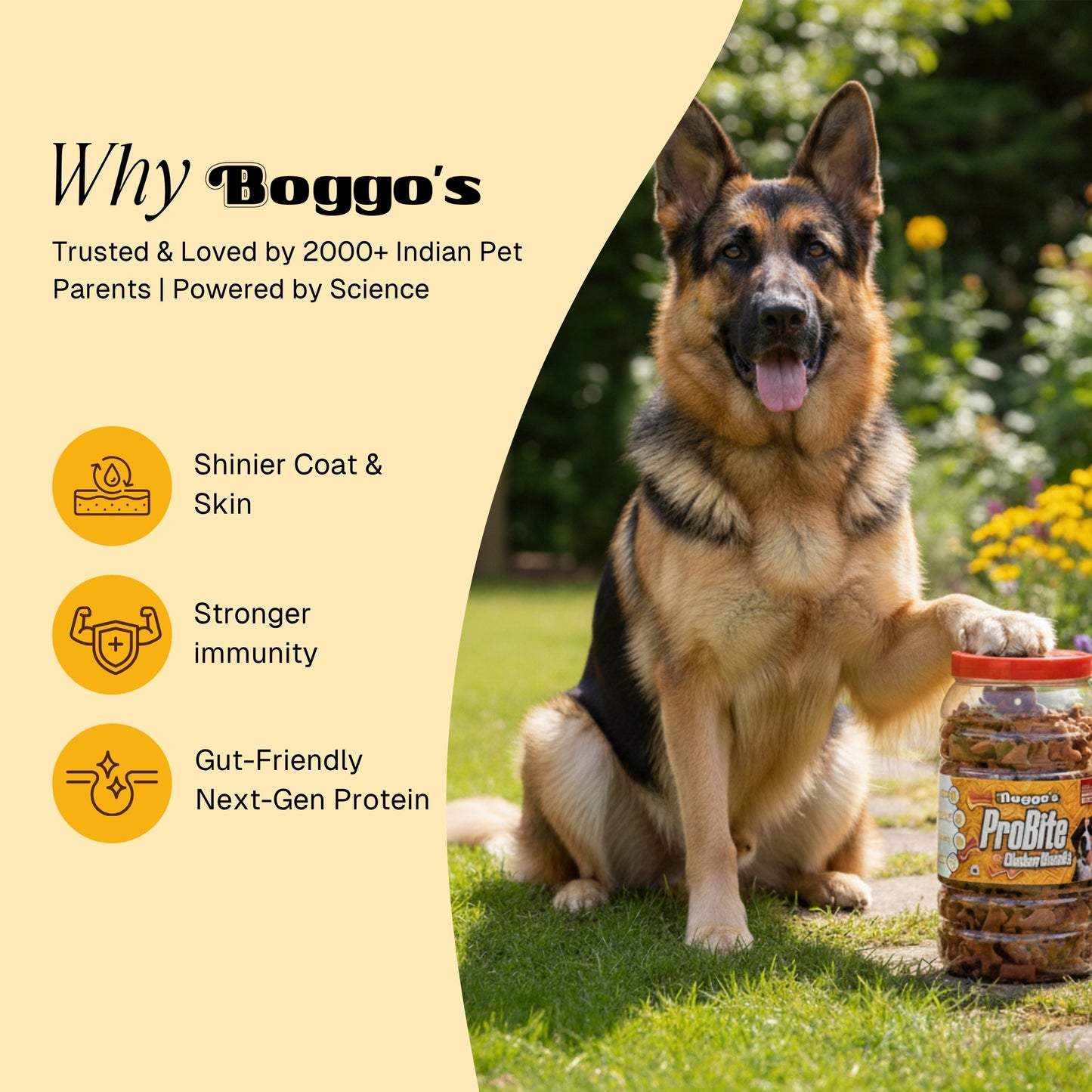 ProBite Chicken Biscuits | High-Protein, Gut-Friendly Dog Treats (500g)