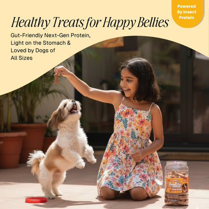 ProBite Chicken Biscuits | High-Protein, Gut-Friendly Dog Treats (500g)
