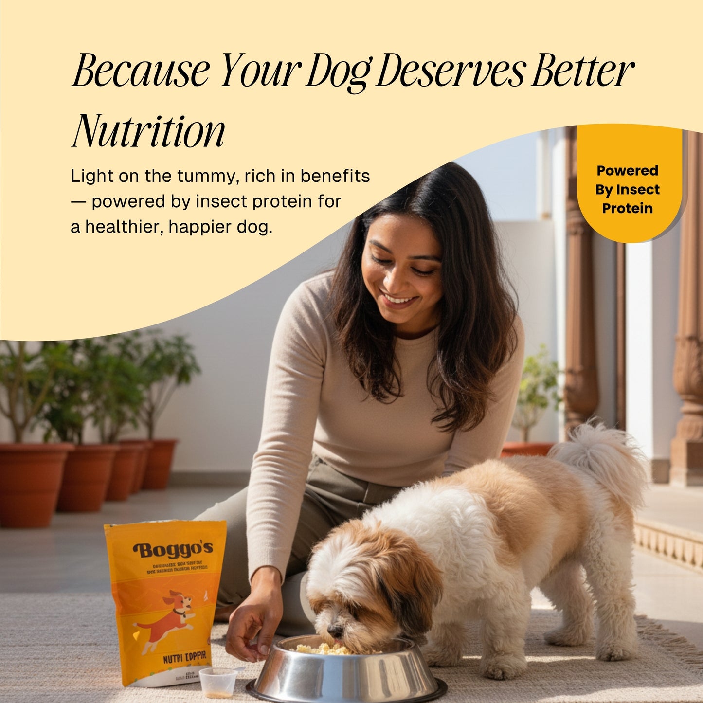 Boggo’s Nutri Topper for Dogs – Chicken Flavour | High Protein, Hypoallergenic Insect Protein Supplement (650g)