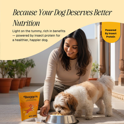 Boggo’s Nutri Topper for Dogs – Chicken Flavour | High Protein, Hypoallergenic Insect Protein Supplement (650g)