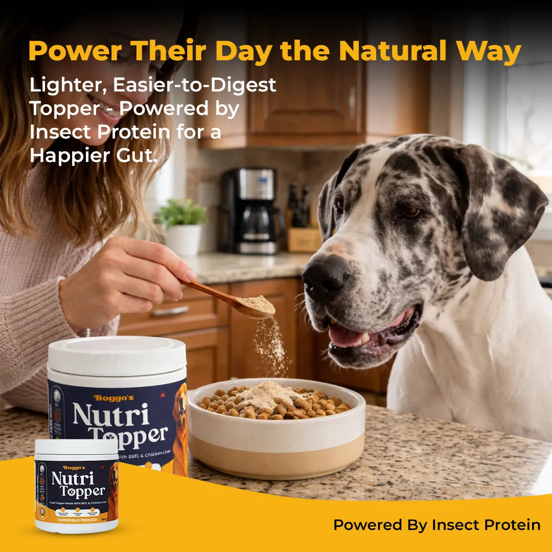 Nutri Topper Taste Plus | Dog Food Topper BSFL and Chicken Liver, 200g