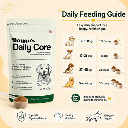 Daily Core Digestive Support Powder for Dogs | 100g
