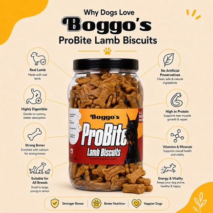 ProBite Lamb Biscuits | High-Protein, Gut-Friendly Dog Treats (450g)