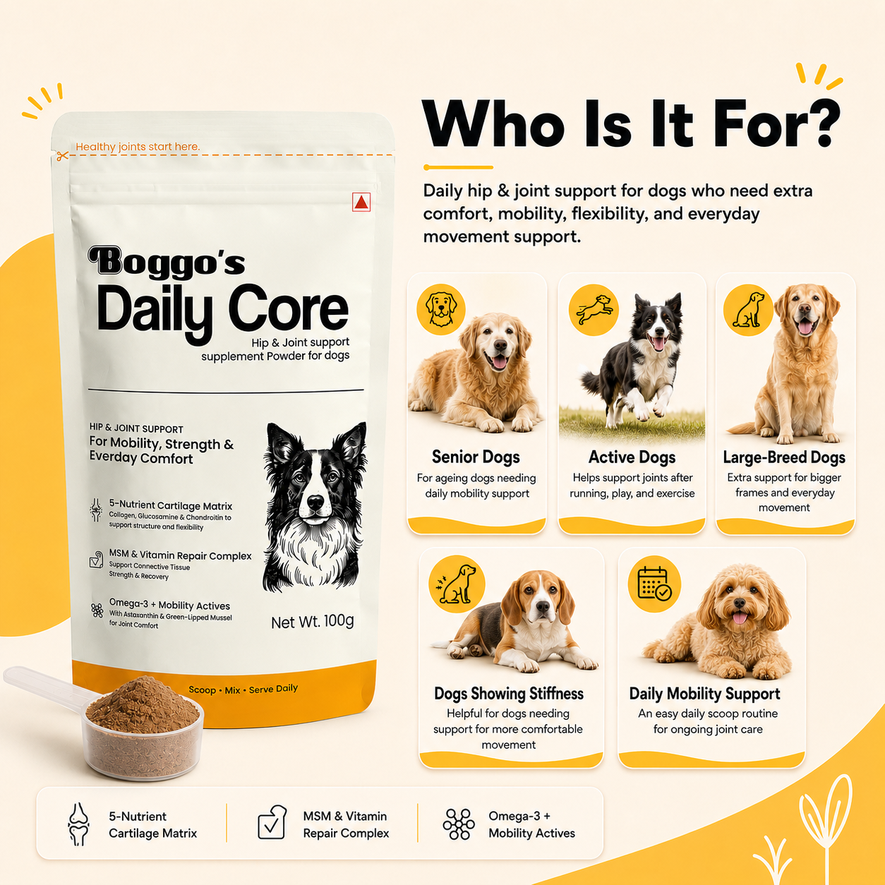 Daily Core Hip & Joint Support Powder for Dogs | 100g