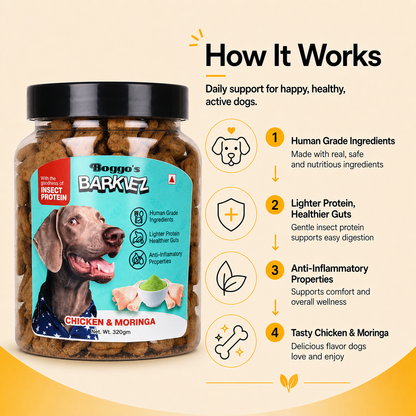 Barkiez Bite Sized Training Treats - Chicken & Moringa Dog Treats (320g)