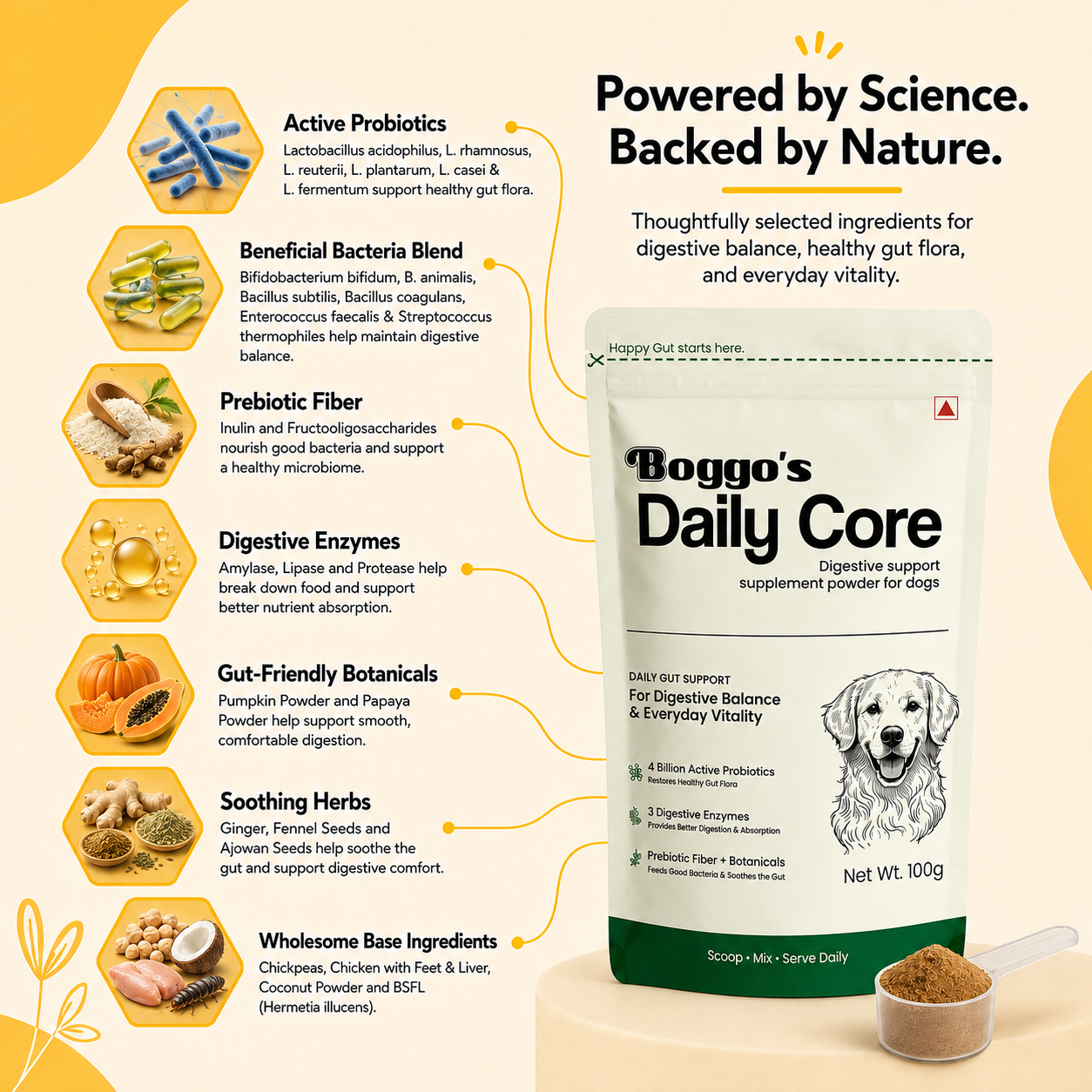 Daily Core Digestive Support Powder for Dogs | 100g