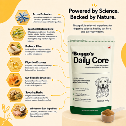 Daily Core Digestive Support Powder for Dogs | 100g