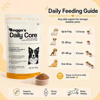 Daily Core Hip & Joint Support Powder for Dogs | 100g