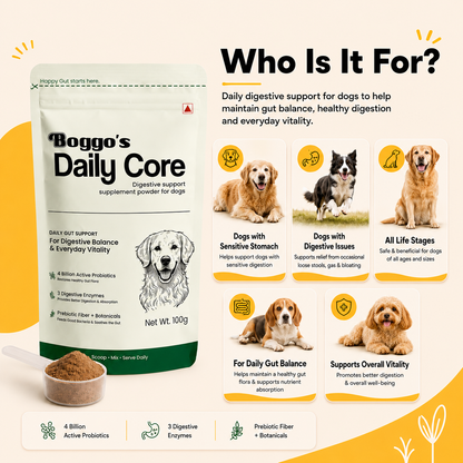 Daily Core Digestive Support Powder for Dogs | 100g