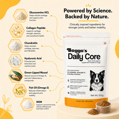 Daily Core Hip & Joint Support Powder for Dogs | 100g