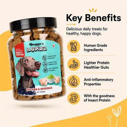 Barkiez Bite Sized Training Treats - Chicken & Moringa Dog Treats (320g)