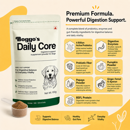 Daily Core Digestive Support Powder for Dogs | 100g