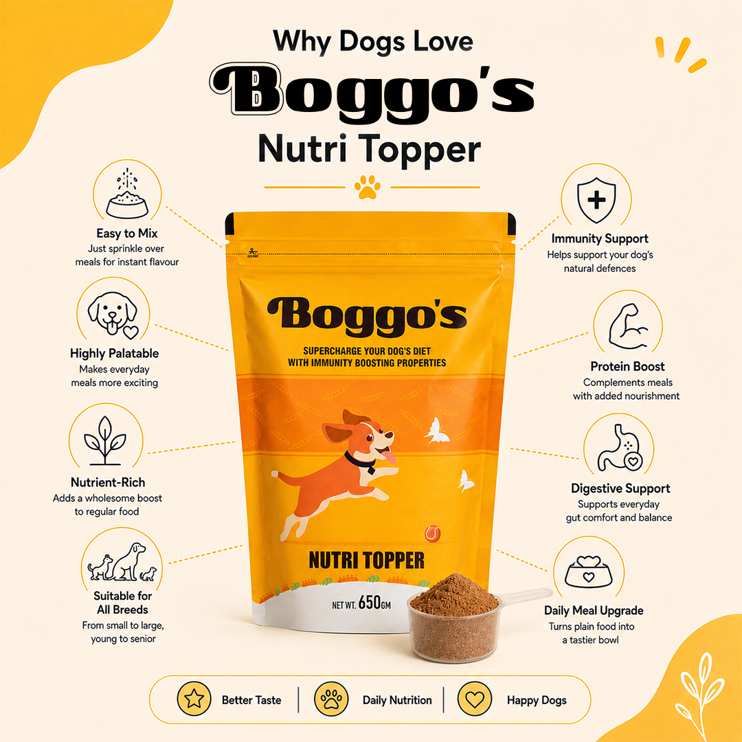 Nutri Topper Original | High Protein, Hypoallergenic Insect Protein Supplement (650g)