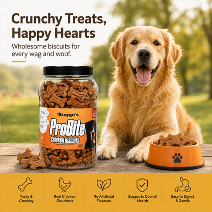 ProBite Chicken Biscuits | High-Protein, Gut-Friendly Dog Treats (450g)