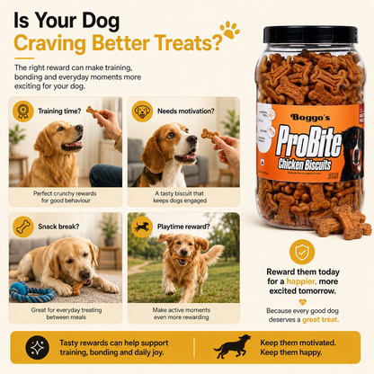 ProBite Variety Pack