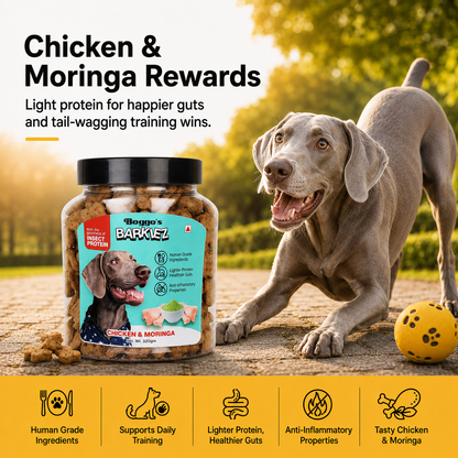 Barkiez Bite Sized Training Treats - Chicken & Moringa Dog Treats (320g)