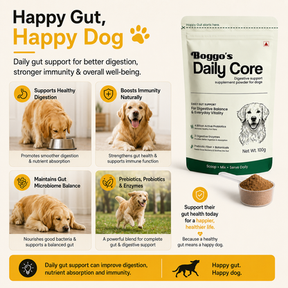 Daily Core Digestive Support Powder for Dogs | 100g