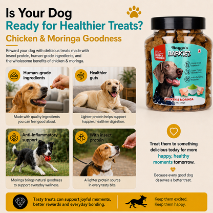 Barkiez Bite Sized Training Treats - Chicken & Moringa Dog Treats (320g)