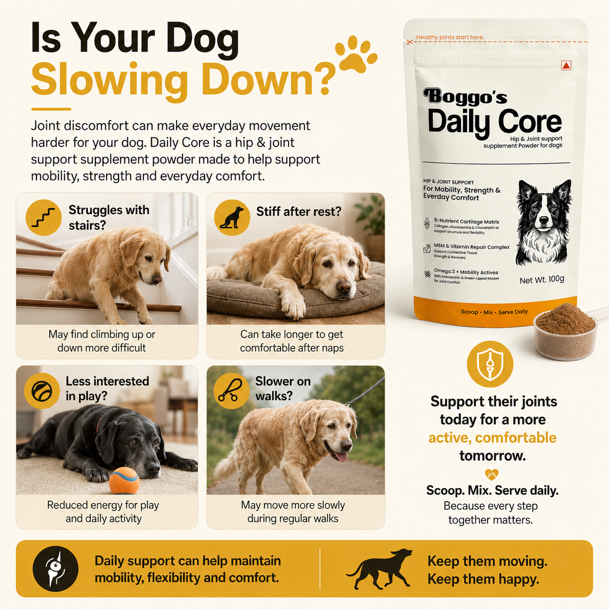 Daily Core Hip & Joint Support Powder for Dogs | 100g