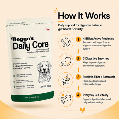 Daily Core Digestive Support Powder for Dogs | 100g