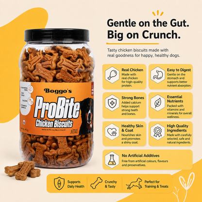 ProBite Chicken Biscuits | High-Protein, Gut-Friendly Dog Treats (450g)