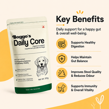 Daily Core Digestive Support Powder for Dogs | 100g