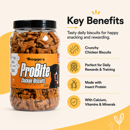 ProBite Chicken Biscuits | High-Protein, Gut-Friendly Dog Treats (450g)