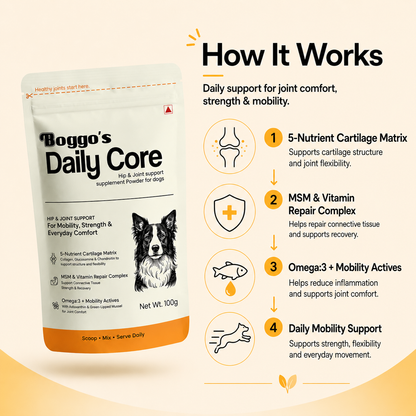 Daily Core Hip & Joint Support Powder for Dogs | 100g