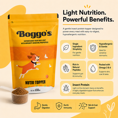 Nutri Topper Original | High Protein, Hypoallergenic Insect Protein Supplement (650g)