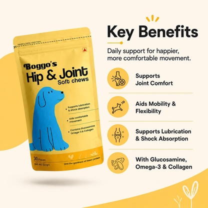 Boggo's Hip and Joint Soft Chews - 30 Pieces